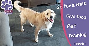 Golden Retriever Simple Life