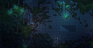 (Old) Drova - Teaser