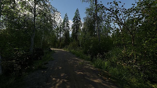 Finnish Cottage Simulator