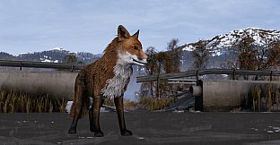 DayZ Frostline