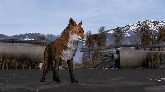 DayZ Frostline