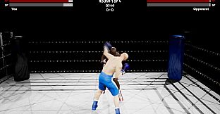 Boxing Simulator