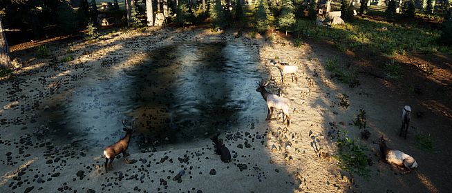 Wilderness Survival: The Conservationist