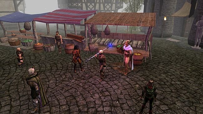 Neverwinter Nights: Enhanced Edition Doom of Icewind Dale