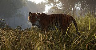 theHunter: Call of the Wild - Sundarpatan Nepal Hunting Reserve