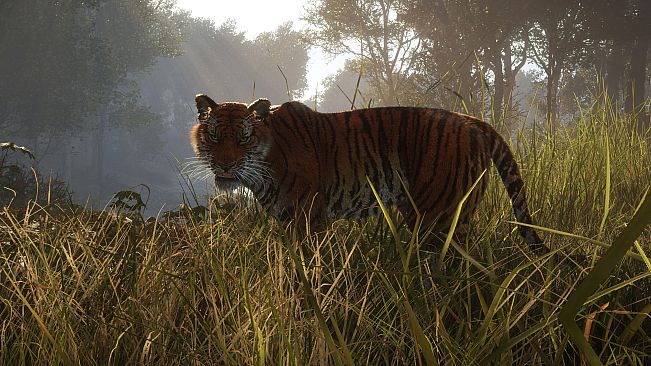 theHunter: Call of the Wild - Sundarpatan Nepal Hunting Reserve