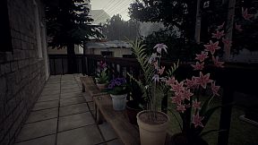 Summer times Afternoon