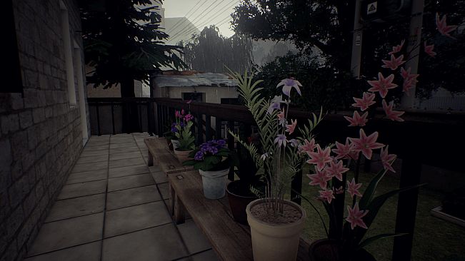 Summer times Afternoon