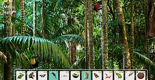 Look and Find - Curiosity