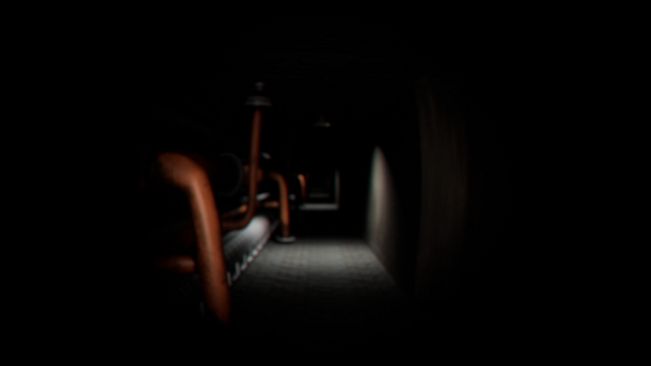 The Backrooms Experiment