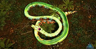 Beasts of Bermuda - Palaeophis Supporter Warpaint