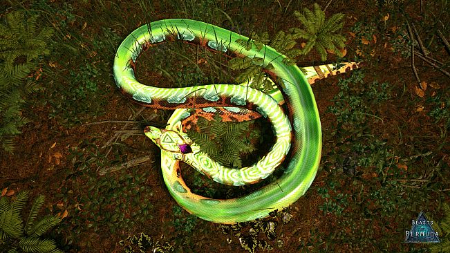 Beasts of Bermuda - Palaeophis Supporter Warpaint