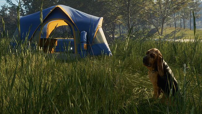 theHunter: Call of the Wild - Bloodhound