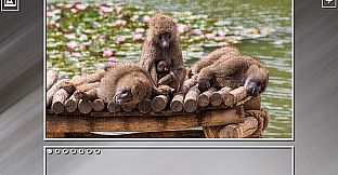 Super Jigsaw Puzzle: Generations - Monkeys & Apes Puzzles