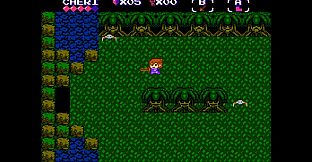 NAPE RETROVERSE COLLECTION