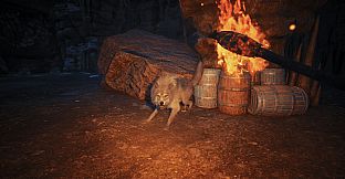 Winter Survival: Prologue