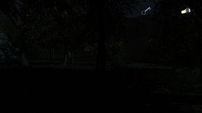 The Secret of Pineview Forest