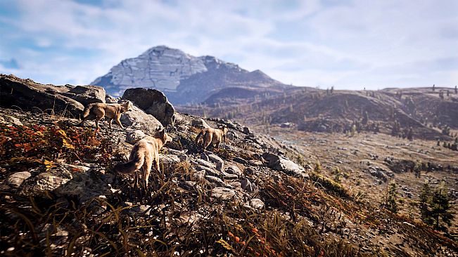 Hunting Simulator 3