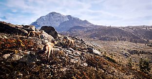 Hunting Simulator 3 - Apex Predator Edition