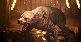 Necromunda: Hired Gun - Escher Skin Pack