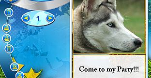 Wildlife Creative Studio