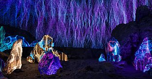 Miracle Vibe Show VR