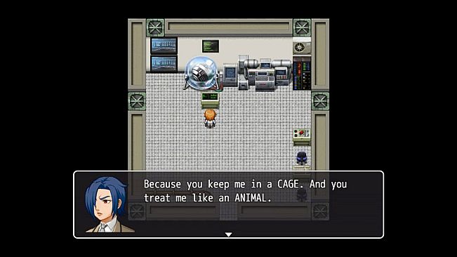 The Singularity Wish