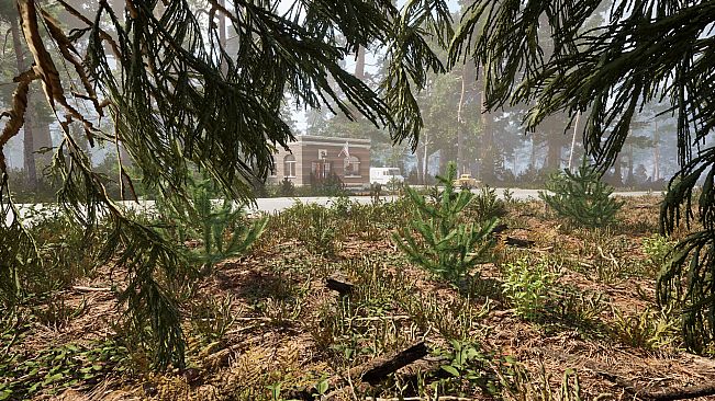 Yosemite Forest Ranger