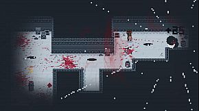 Tourists Kidnapped a Little Bear