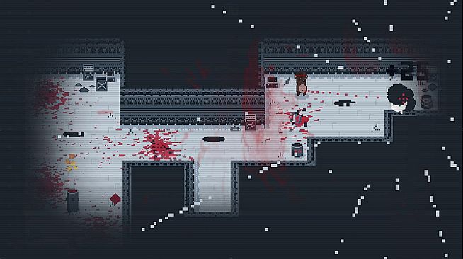 Tourists Kidnapped a Little Bear