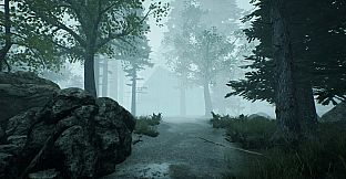 The Picture in The House