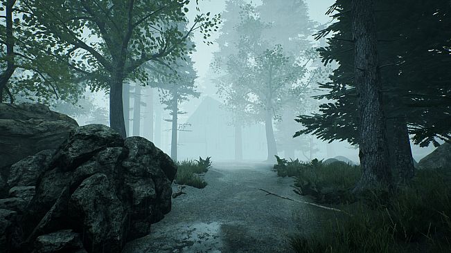 The Picture in The House