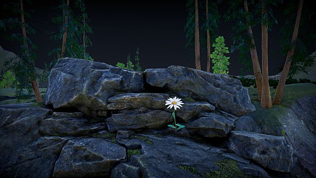Flower Simulator