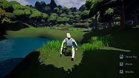 Dog Walking Adventures