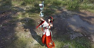 WARRIORS OROCHI 4 - Sacred Treasures Pack 2