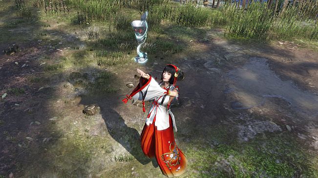 WARRIORS OROCHI 4 - Sacred Treasures Pack 2