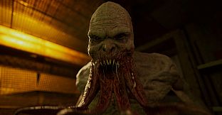 S.T.A.L.K.E.R. 2: Heart of Chornobyl - Deluxe Content