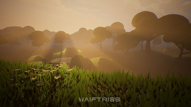 Waiftriss