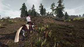 My Horse: Bonded Spirits