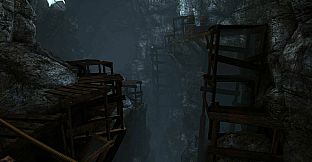 Seek: Light Through Darkness