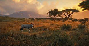 theHunter: Call of the Wild - New Species 2018