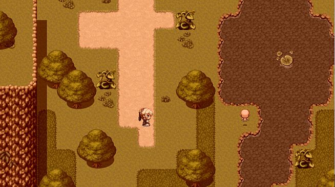 来自女巫森林的法师