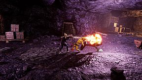 The Carnival Of Company