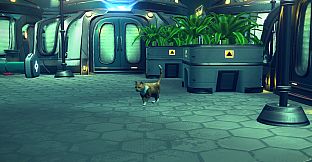 Aquatico - Founder's Pack