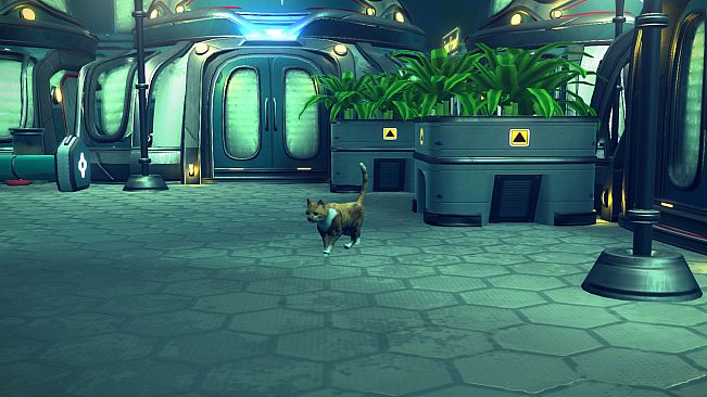 Aquatico - Founder's Pack