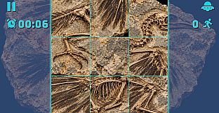 Puzzle Fossils