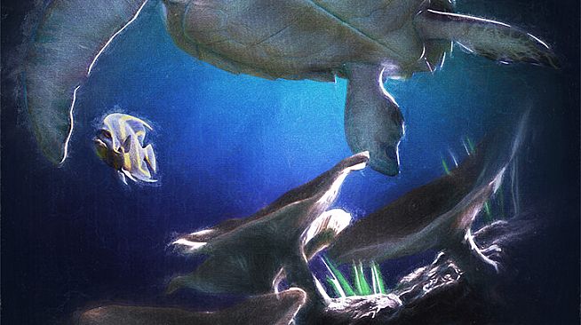 theBlu - Reef Migration