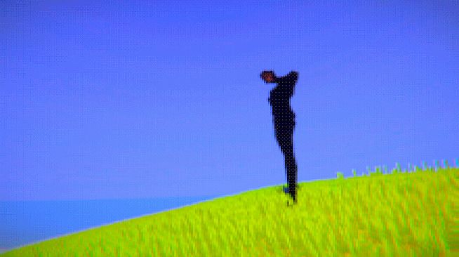 Last Look along Woodward Boulevard