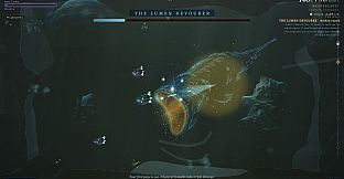 Echo in the Lightless Deep