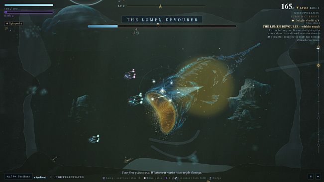 Echo in the Lightless Deep